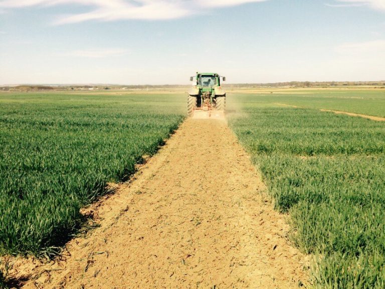 Artículo para AGRI nº207