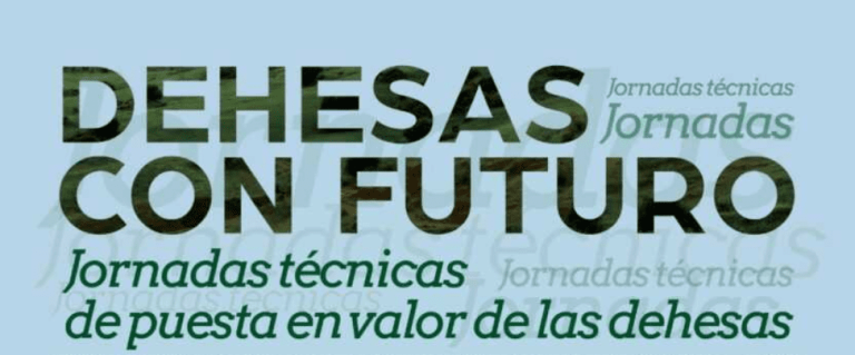 Plantas aromáticas y medicinales en la dehesa