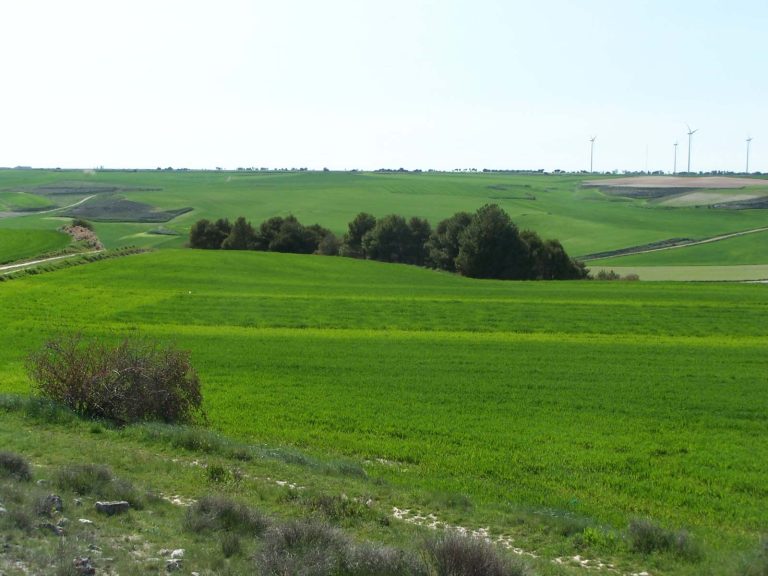 Itagra lidera un proyecto Interreg Sudoe: Phos4cycle, transformando la gestión agrícola y la conservación de aguas y suelos frente a la contaminación por fosfatos