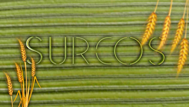 Las leguminosas, clave para cultivos vitales en el campo