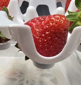 BIOTECFILMS Ensayo de conservación de fresas en un envase experimental con una estructura biodegradable impresa en 3D para aplicaciones de envasado activo.