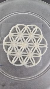 BIOTECFILMS Impresión 3D de biomateriales para el desarrollo de estructuras biodegradables y envases sostenibles