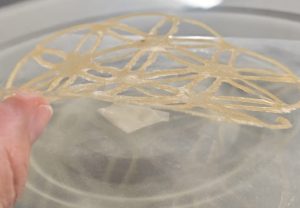 BIOTECFILMS Evaluación en laboratorio de una estructura biodegradable impresa en 3D para aplicaciones en envases activos y conservación sostenible de alimentos.