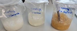BIOTECFILM Formulaciones de recubrimientos comestibles con extractos naturales desarrolladas en laboratorio para mejorar la conservación de alimentos.
