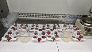 BIOTECFILMS Ensayos de laboratorio para evaluar recubrimientos naturales en fresas y prolongar su vida útil