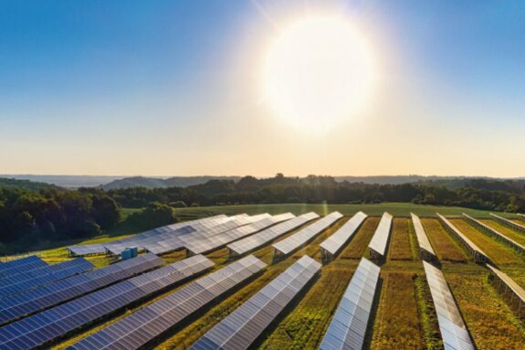 Sistema agrovoltaico del proyecto AgroSOL para combinar agricultura y energía solar
