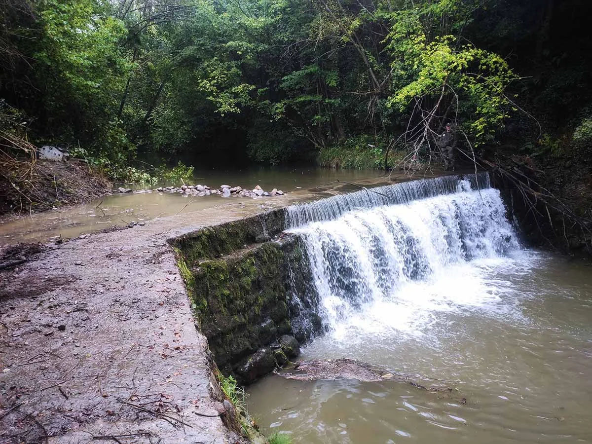 Eco-Hidráulica Aplicada