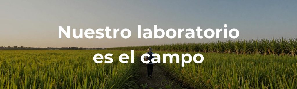 En ITAGRA desarrollamos investigación aplicada directamente en el campo, donde validamos tecnologías, evaluamos cultivos y transformamos el conocimiento científico en soluciones para agricultores, empresas agroalimentarias y administraciones.