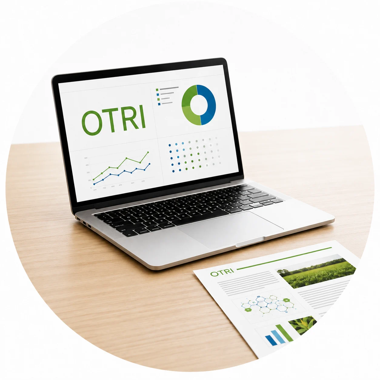 Constitución OTRI