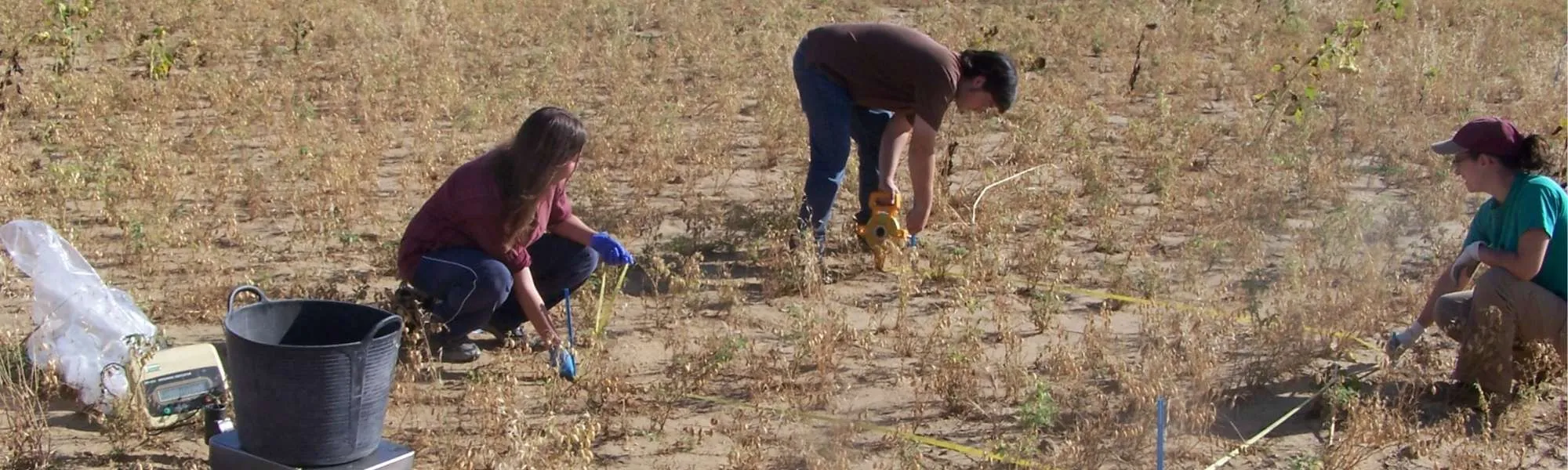 Equipo investigador realizando mediciones, muestreo y trabajos experimentales en campo dentro de un proyecto de I+D+i agraria.