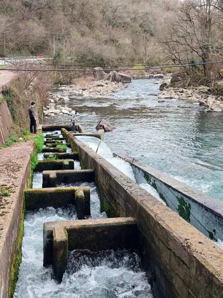 Escala para peces junto a un río diseñada para mejorar la conectividad fluvial y facilitar el desplazamiento de la fauna acuática.