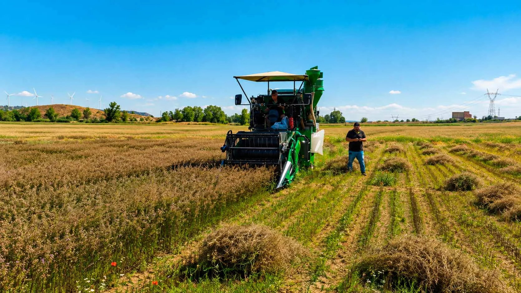 Ensayos Agronómicos