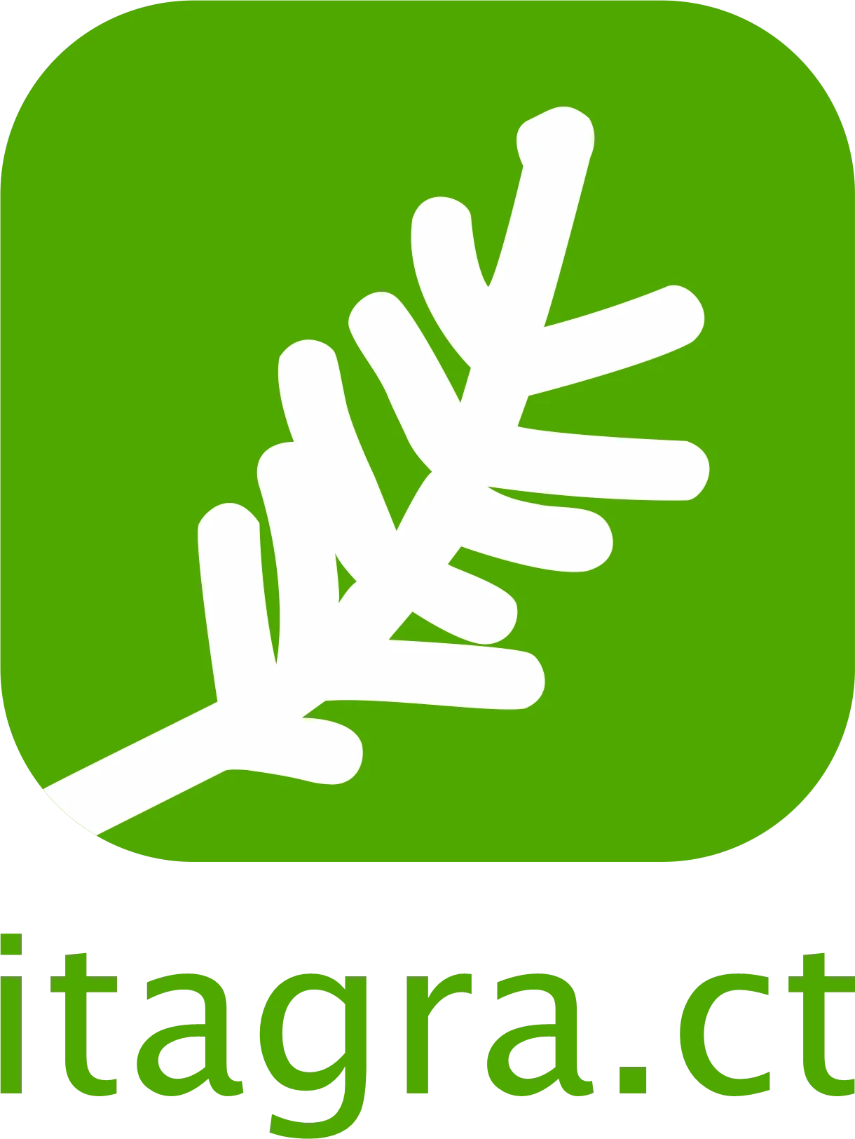 Logotipo Itagra.ct vertical - icono + nombre corto sin fondo