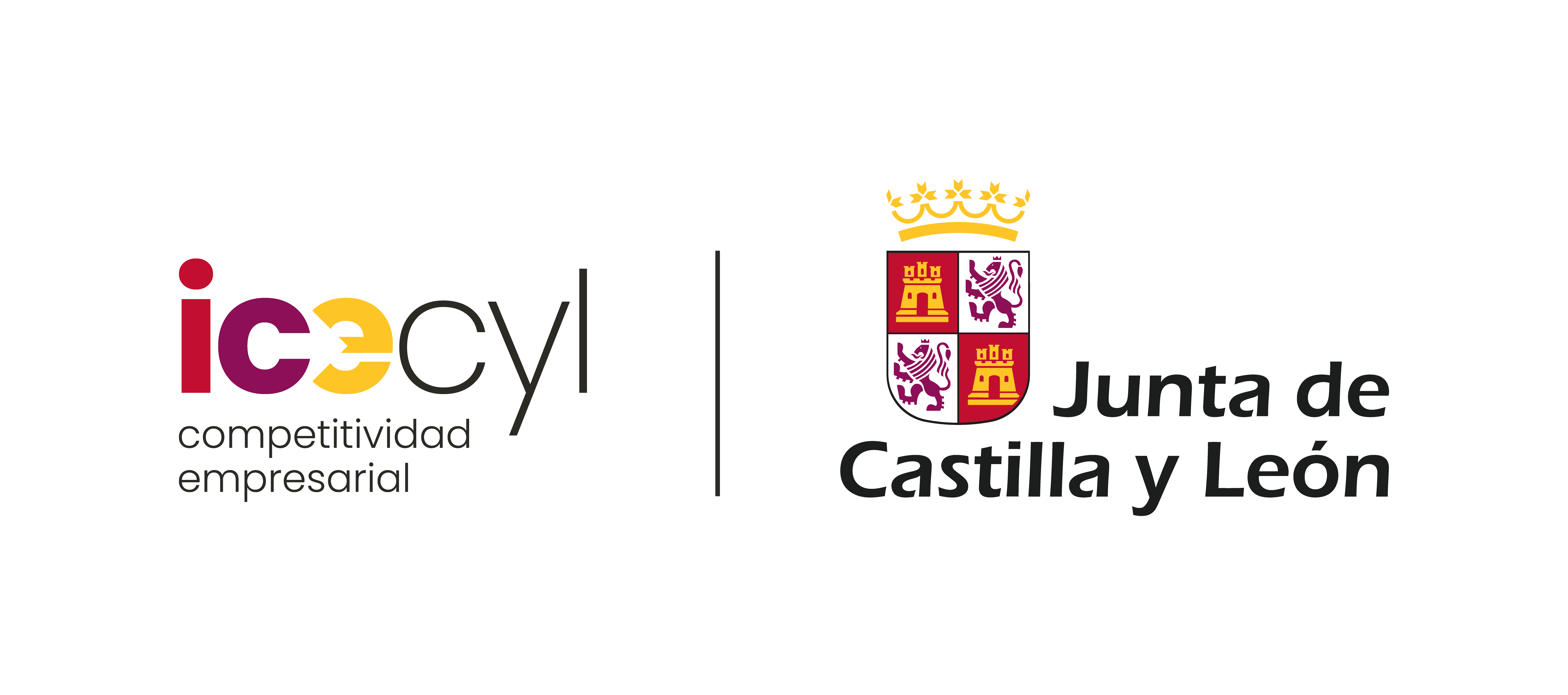 Logo ICECYL + JCYL