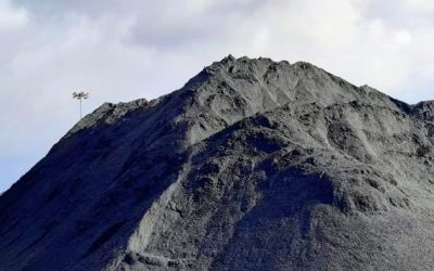 Carbón mineral: una estrategia emergente que mejora la eficiencia de la fertilización agrícola