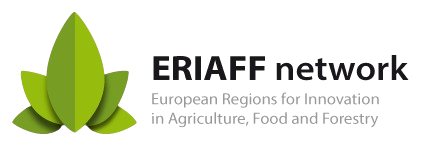 ERIAFF NETWORK