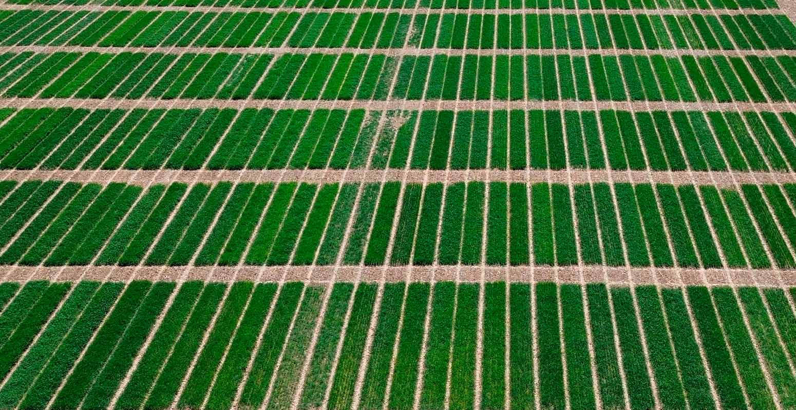 Investigación aplicada en laboratorio agroalimentario ITAGRA centro tecnológico